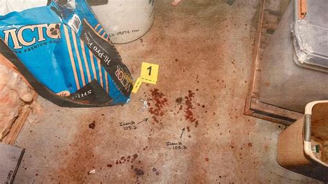 maggie murdaugh autopsy pictures|Murdaugh Murders: Crime Scene Photos Shown in。